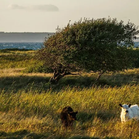 Kuesterhaeuschen - Schloss